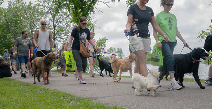 Walk for Wags Event Set for June 23 at Pfiffner Pioneer Park