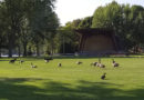 As last resort, city considers culling geese
