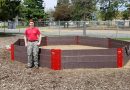 Stevens Point Boy Scout achieves prestigious Eagle rank