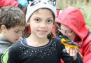 Discover Orioles, bird banding during Junior Audubon program