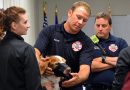 K9 dogs can now count on medical treatment by paramedics, EMTs, police