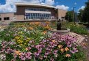 UW-Stevens Point certified as ‘Bee Campus USA’