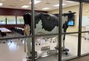 New agriculture lab comes to Mid-State’s Marshfield Campus