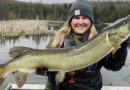 DNR: There’s Still Time To Catch A Musky