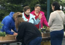 Master Gardeners’ plant sale set for May 14