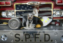 SPFD adds four-legged friends to duty roster