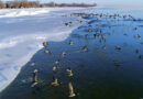 Practice ice safety on all waterbodies this winter